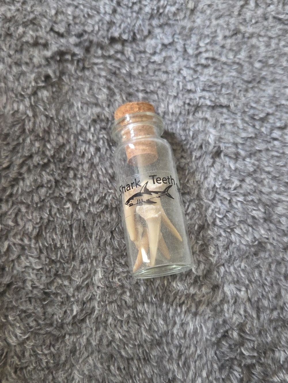 Shark Teeth Vial - Natural Beige Bottle